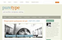 PureTypeTheme Wordpress theme