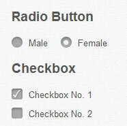 Radio and Checkbox with CSS3